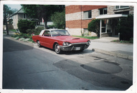 Thunderbird Thunderbird
