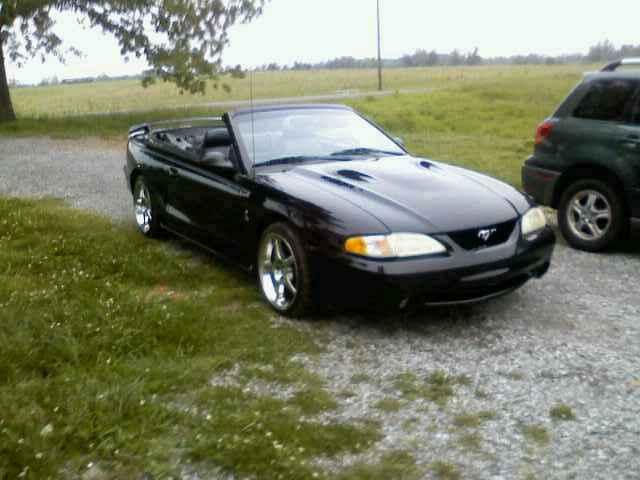 2003 Ford Mustang Svt Cobra Convertible. 1996 Ford Mustang SVT Cobra