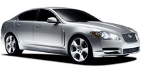 XF XF