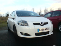 Auris Auris