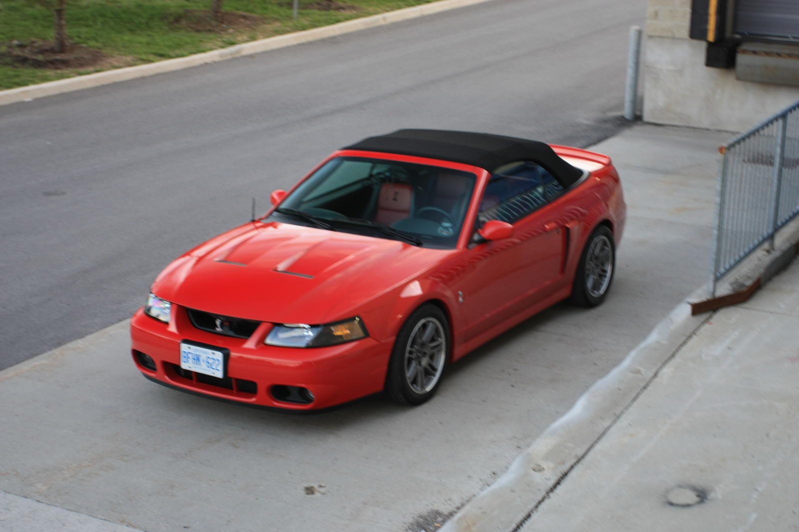 maisto 2003 mustang svt cobra