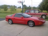 Firebird Firebird
