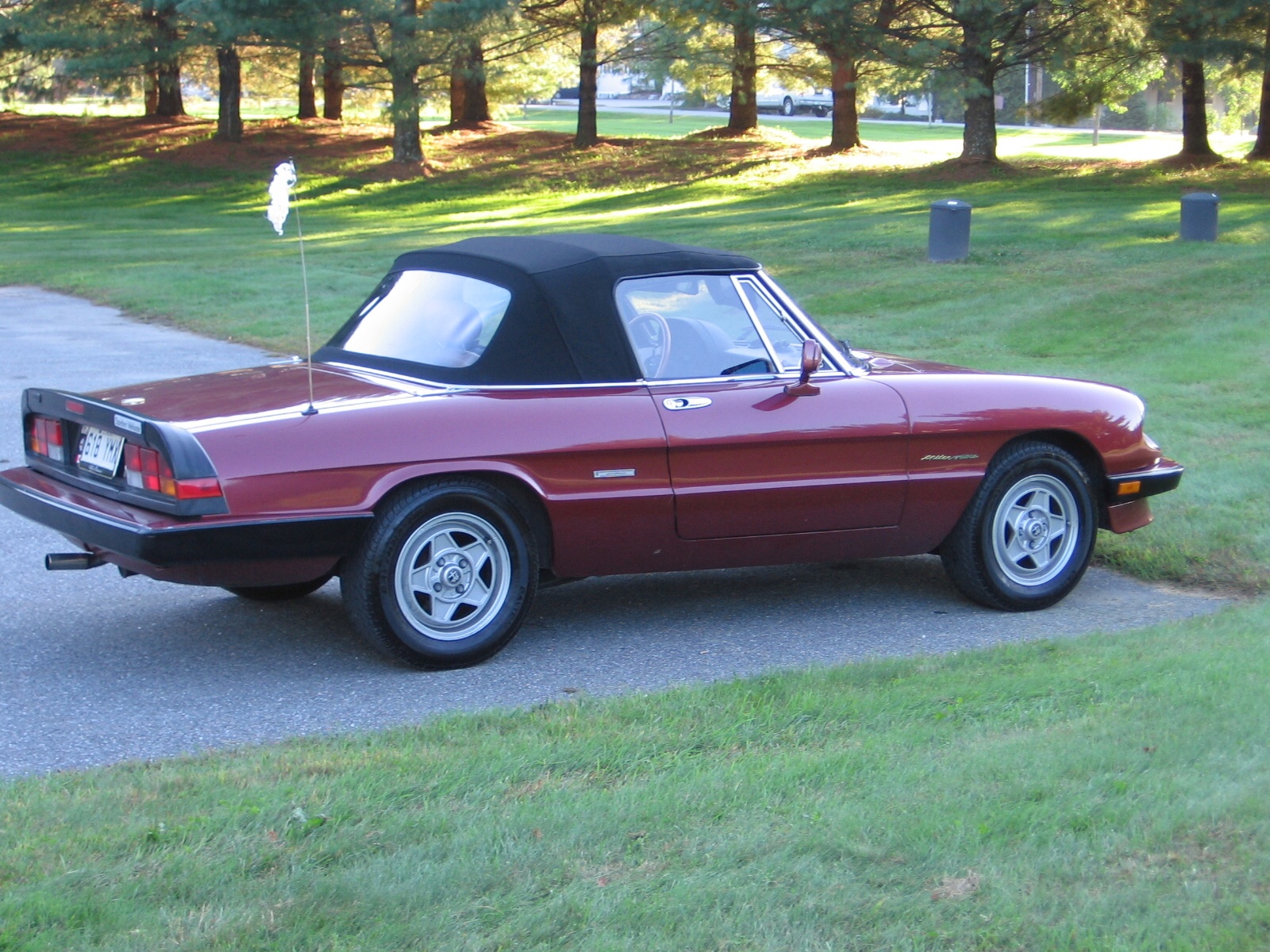 1988 Alfa Romeo Spider Pictures Cargurus