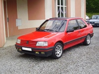 1991 Peugeot 309 Overview 1991 Peugeot 309 Overview
