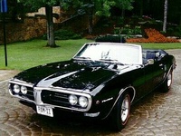 Firebird Firebird
