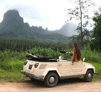 1969 Volkswagen Thing Overview 1969 Volkswagen Thing Overview