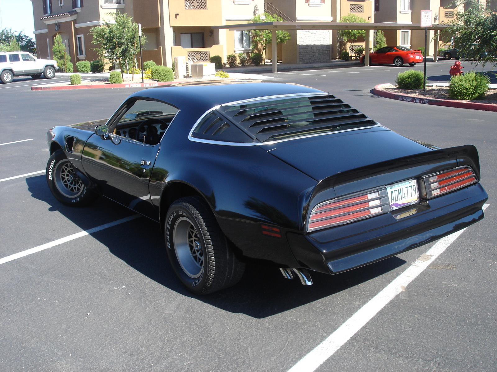 Firebird Wallpapers Full HD wallpaper search