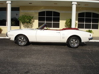 Firebird Firebird
