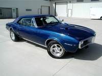 Firebird Firebird