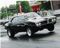 Firebird Firebird
