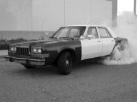 1989 Dodge Diplomat Overview 1989 Dodge Diplomat Overview