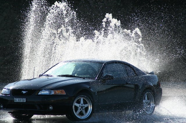 1999 Ford Mustang SVT Cobra 2 Dr STD Coupe picture, exterior