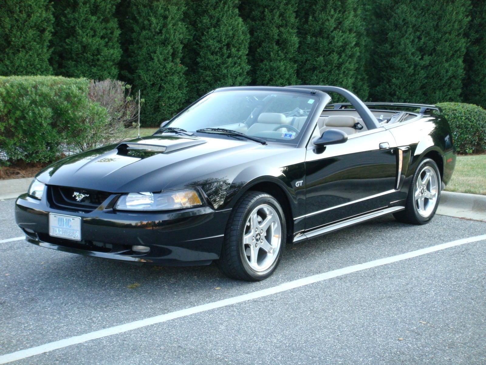 2003 Ford gt mustang specs