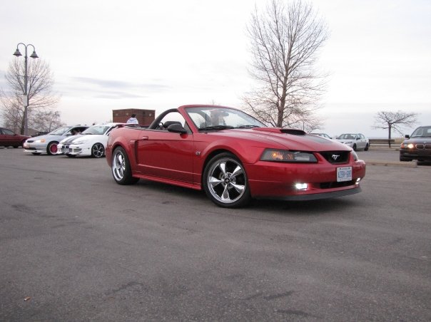 2001 Ford Mustang Gt Convertible. 2001 Ford Mustang GT Premium