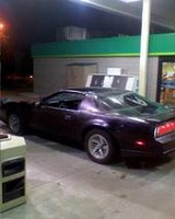 Firebird Firebird