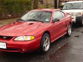 Mustang SVT Cobra Mustang SVT Cobra