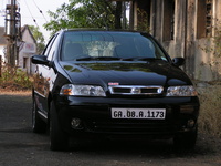Palio Palio
