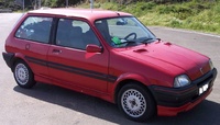 1991 Rover Metro Overview 1991 Rover Metro Overview