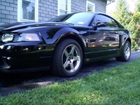 Mustang SVT Cobra Mustang SVT Cobra