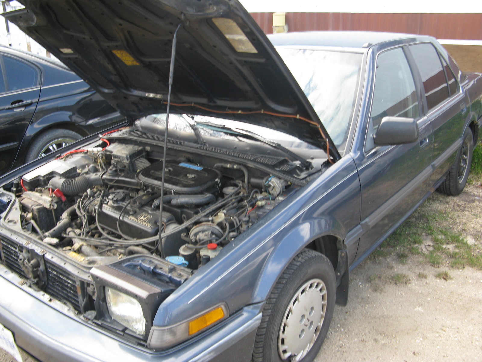1988 Honda accord lxi check engine light #3