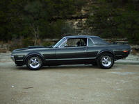 Cougar Cougar