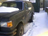 Bronco Bronco