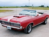 Cougar Cougar
