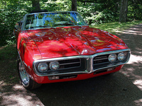 Firebird Firebird