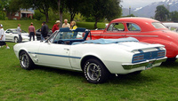 Firebird Firebird