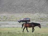 Bronco II Bronco II