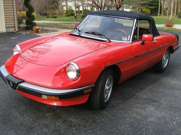 1987 Alfa Romeo Spider Overview Cargurus