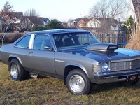 1979 Buick Skylark Overview 1979 Buick Skylark Overview