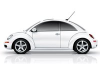 Beetle Beetle