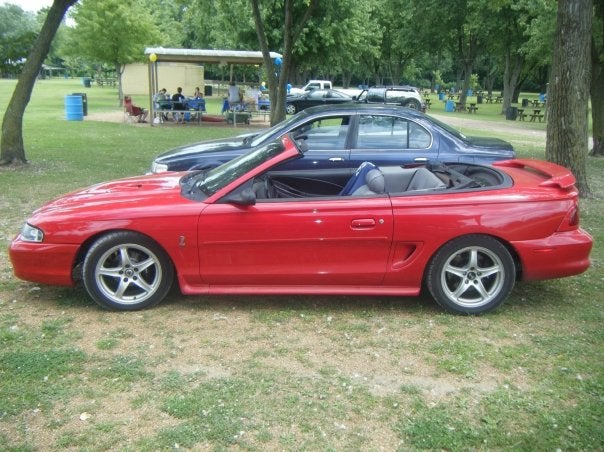 1995 Ford Mustang SVT Cobra 2 Dr STD Convertible picture, exterior