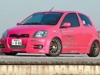 Vitz Vitz