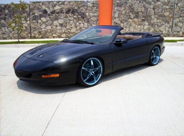 1995 Pontiac Firebird Trans Am pontiac firebird trans am. 1995 Pontiac Firebird Trans Am