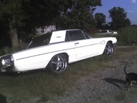 Thunderbird Thunderbird