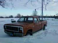 1981 Dodge Ram Overview 1981 Dodge Ram Overview