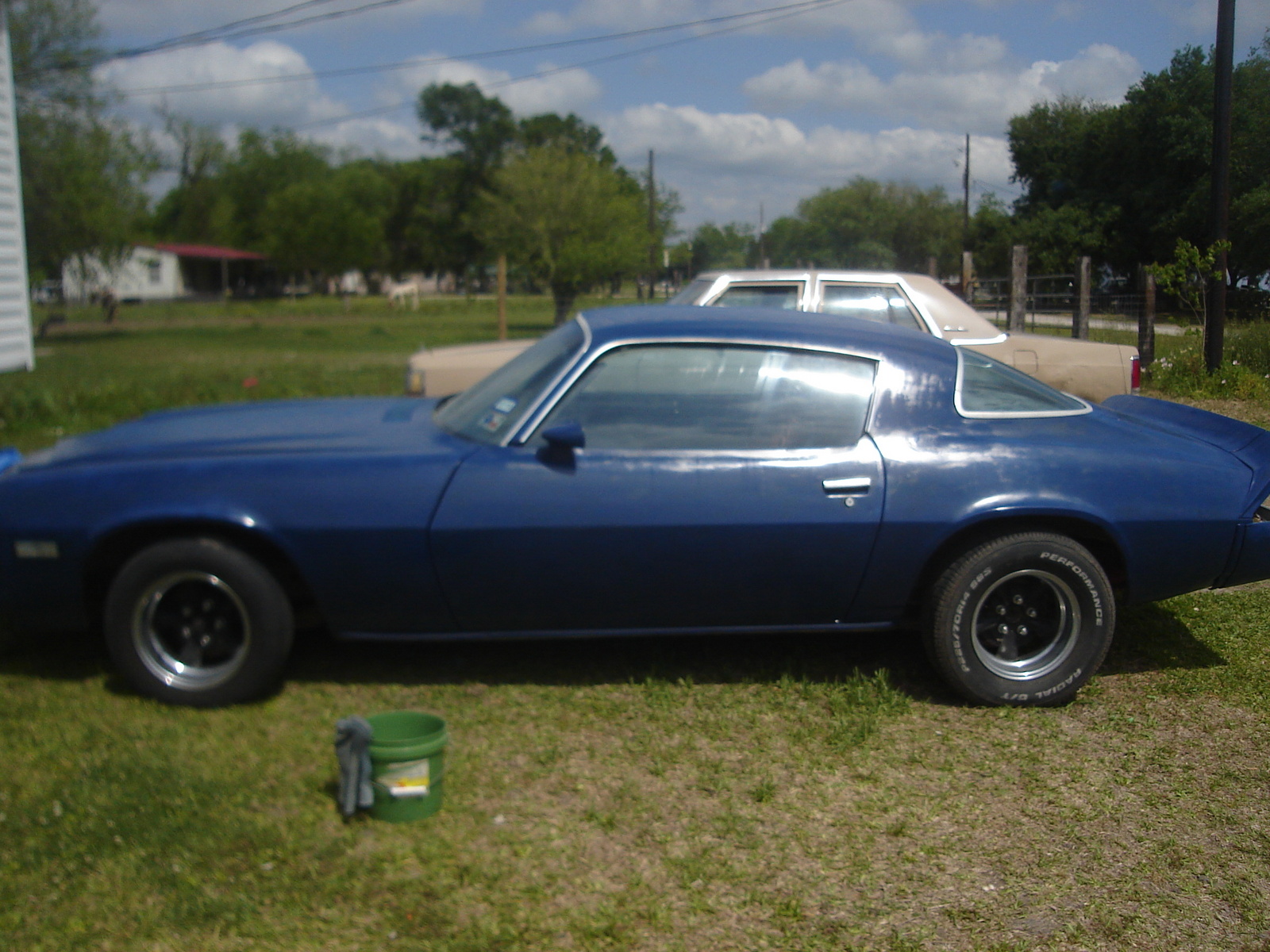 1981 Chevrolet Camaro - Pictures - CarGurus