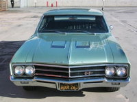 Skylark Skylark