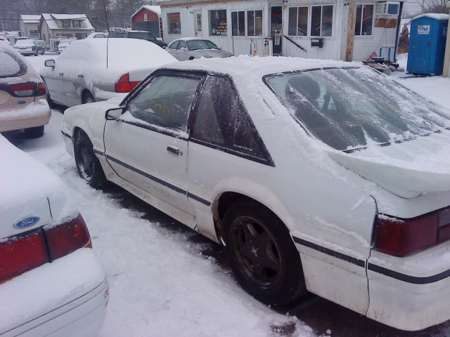 1989 Ford Mustang GT picture, 1989 mustang gt. 1989 Ford Mustang GT picture,