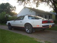 Firebird Firebird