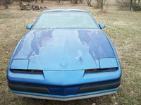 Firebird Firebird