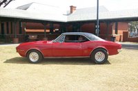 Firebird Firebird