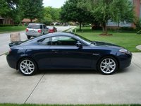 Tiburon Tiburon