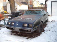 Firebird Firebird