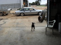 1993 Ford Fairlane Overview 1993 Ford Fairlane Overview