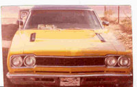 Road Runner Road Runner