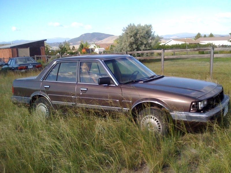1985 Honda Accord