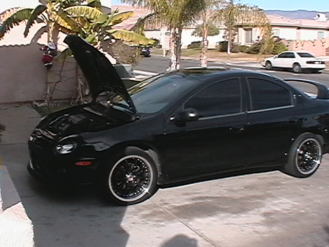 srt 4 black. 2004 Dodge Neon SRT-4, lack